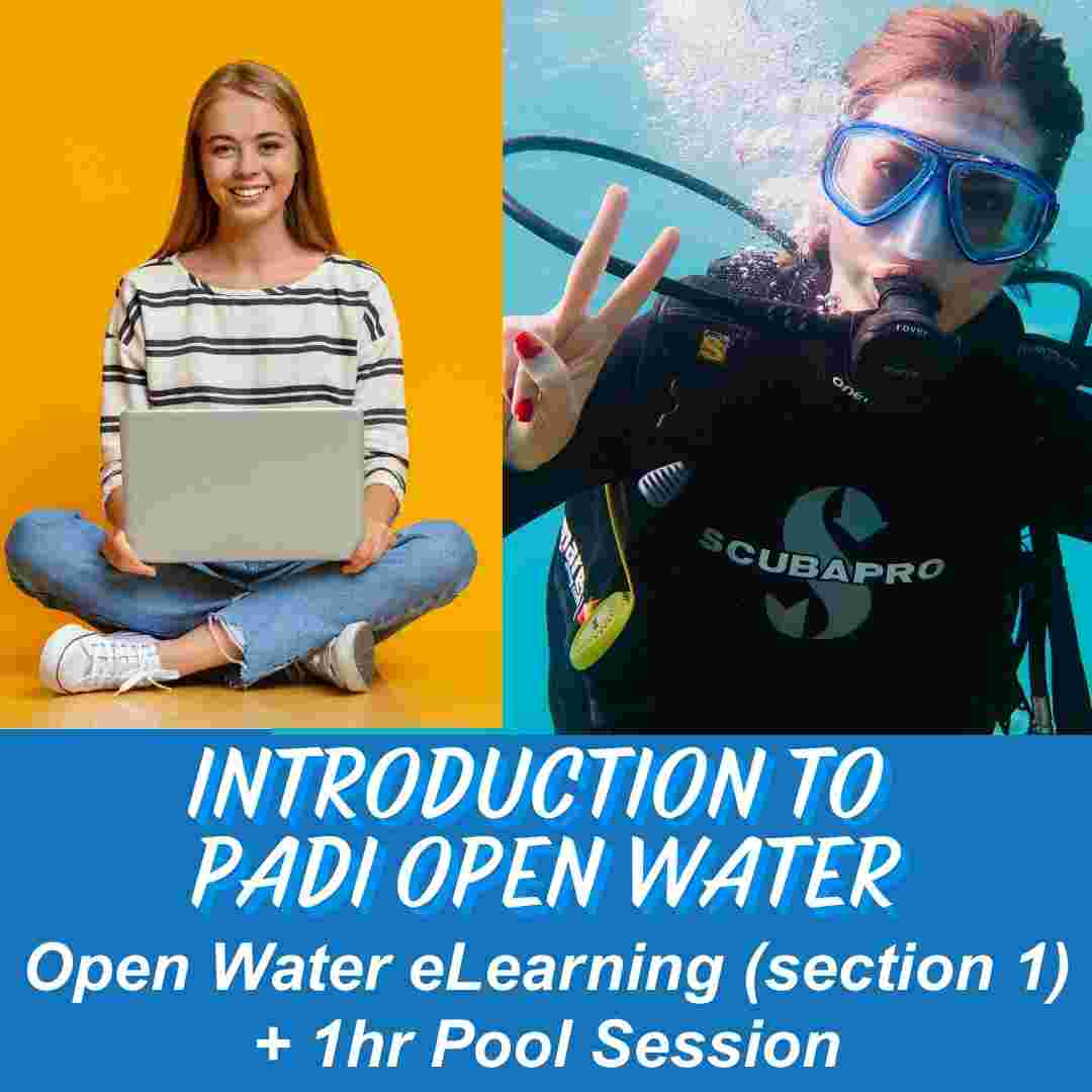 Introduction to the PADI Open Water Course