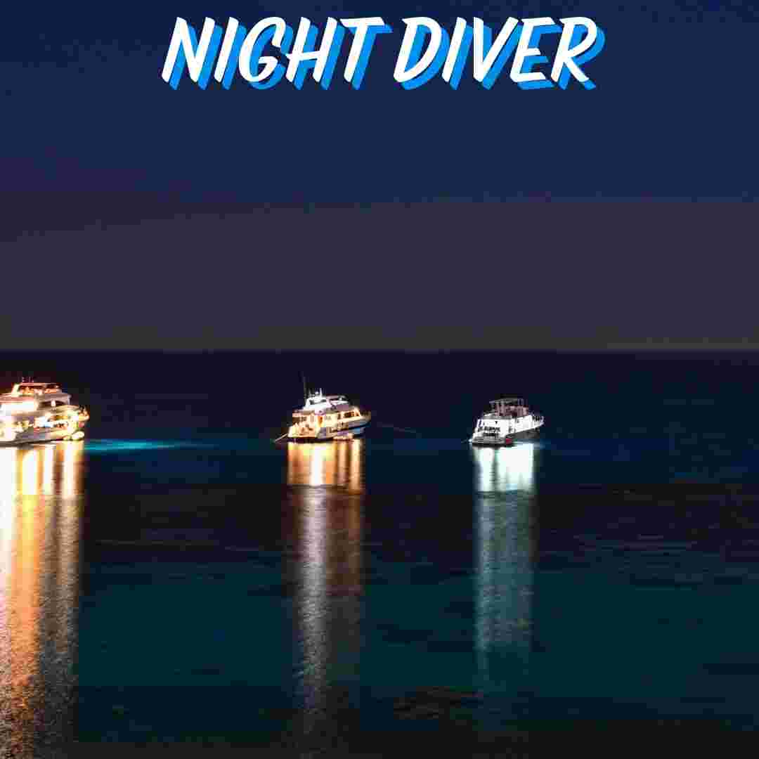 PADI Night Diver Specialty student exploring a reef with a dive torch during a night dive training session with Sussex Diving.